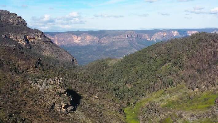 나무 여행 잎 자연 하늘 산 안테나 사람없음 야외 초록색 파란색 갈색 환경 계곡 호주 숲 언덕 동영상 드론 오지 4K MP4 해외동영상 클립영상 식물 컬러 통신 오세아니아 생태계 파일형식