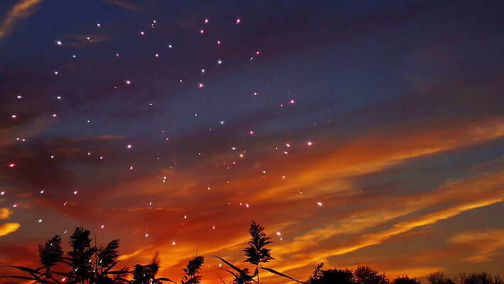 구름 기념일 행복 별 크리스마스 오렌지 자연 추상 불꽃 새해 기념 폭죽 불꽃놀이 풍경 이벤트 사람없음 여름 빛 태양 노란색 파티 축제 미국 자유 축하 저녁 폭발 쇼 해피뉴이어 스카이라인 애국심 빛망울 7월 독립 독립기념일 카운트다운 4K MOV 해외동영상 클립영상 자연요소 계절 감정 컬러 컨셉 북아메리카 무늬 과일 놀이 불 새해인사 날짜 야간 생태계 동영상 파일형식