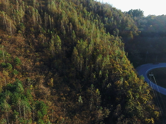 포토 JPG 주간 나무 산 사람없음 야외 가을풍경 가을 강원도 항공촬영 정선 전경 문치재 국내포토 자연요소 식물 계절 뷰포인트 한국 풍경 파일형식 탑뷰 가을_계절