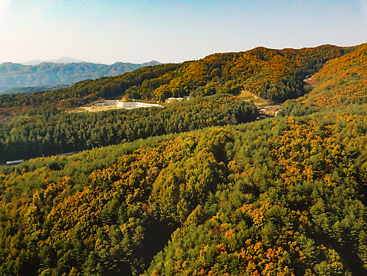 포토 JPG 주간 단풍 산 사람없음 야외 가을풍경 가을 강원도 항공촬영 정선 전경 국내포토 자연요소 계절 뷰포인트 잎 한국 풍경 파일형식 탑뷰 가을_계절
