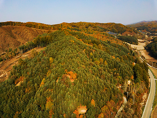 포토 JPG 주간 단풍 산 사람없음 야외 가을풍경 가을 강원도 항공촬영 정선 전경 국내포토 자연요소 계절 뷰포인트 잎 한국 풍경 파일형식 탑뷰 가을_계절