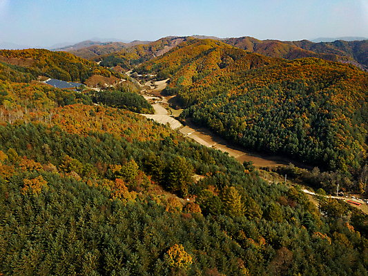 포토 JPG 주간 단풍 산 사람없음 야외 가을풍경 가을 강원도 항공촬영 정선 전경 국내포토 자연요소 계절 뷰포인트 잎 한국 풍경 파일형식 탑뷰 가을_계절