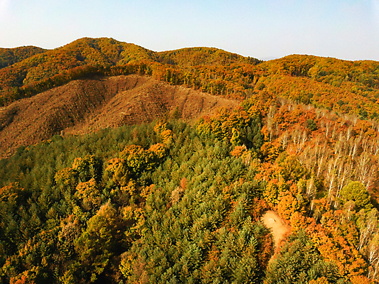 포토 JPG 주간 단풍 하늘 산 사람없음 야외 가을풍경 가을 강원도 항공촬영 정선 전경 국내포토 자연요소 계절 뷰포인트 잎 한국 풍경 파일형식 탑뷰 가을_계절