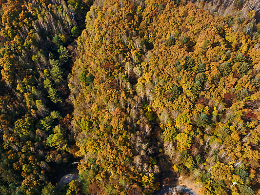 포토 JPG 주간 단풍 자연 산 사람없음 야외 하이앵글 가을풍경 가을 강원도 항공촬영 정선 전경 국내포토 자연요소 계절 뷰포인트 잎 한국 풍경 생태계 파일형식 탑뷰 가을_계절