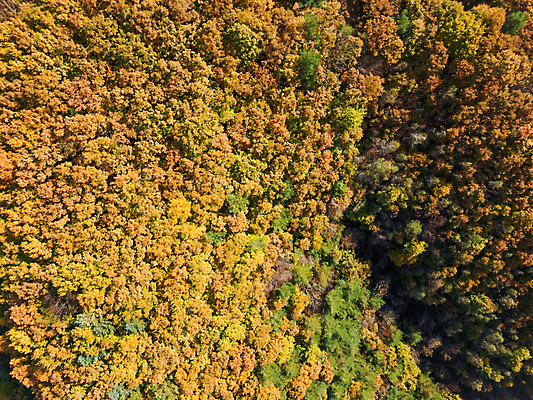 포토 JPG 주간 단풍 자연 사람없음 야외 하이앵글 가을풍경 가을 강원도 항공촬영 정선 전경 국내포토 자연요소 계절 뷰포인트 잎 한국 풍경 생태계 파일형식 탑뷰 가을_계절