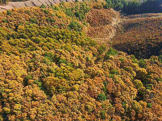 포토 JPG 주간 단풍 자연 산 사람없음 야외 하이앵글 가을풍경 가을 강원도 항공촬영 정선 전경 국내포토 자연요소 계절 뷰포인트 잎 한국 풍경 생태계 파일형식 탑뷰 가을_계절