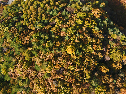 포토 JPG 주간 단풍 자연 사람없음 야외 하이앵글 가을풍경 가을 강원도 항공촬영 정선 전경 국내포토 자연요소 계절 뷰포인트 잎 한국 풍경 생태계 파일형식 탑뷰 가을_계절