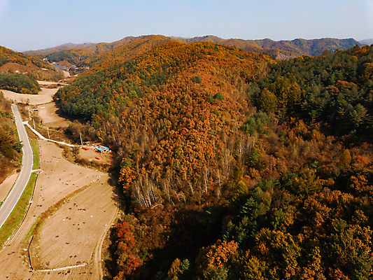 포토 JPG 주간 단풍 하늘 산 사람없음 야외 가을풍경 가을 강원도 항공촬영 정선 전경 국내포토 자연요소 계절 뷰포인트 잎 한국 풍경 파일형식 탑뷰 가을_계절