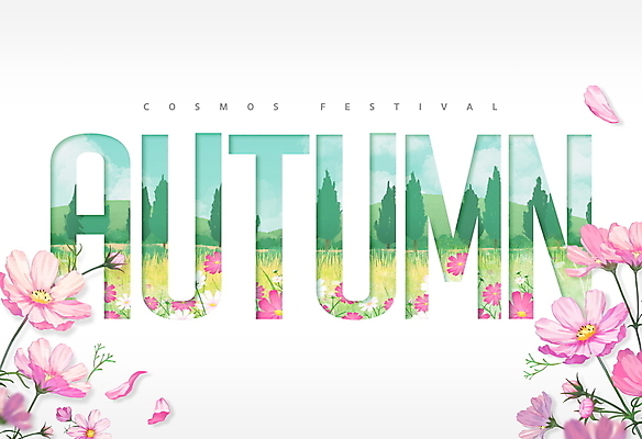 PSD 편집이미지 꽃잎 분홍색 꽃밭 가을꽃 타이포그라피 사람없음 초록색 가을풍경 가을 흰색 코스모스 감성 가을축제 이미지편집 문자 계절 꽃 컬러 컨셉 풍경 축제 파일형식 가을_계절