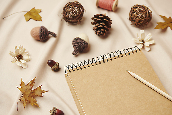 포토 JPG 스튜디오촬영 단풍 낙엽 실내 사람없음 연필 가을 빈티지 분위기 천 오브젝트 도토리 스프링노트 솔방울 감성 드라이플라워 베이지색배경 국내포토 계절 꽃 백그라운드 컨셉 잎 학용품 내부 필기구 공책 견과류 직물 베이지색 파일형식