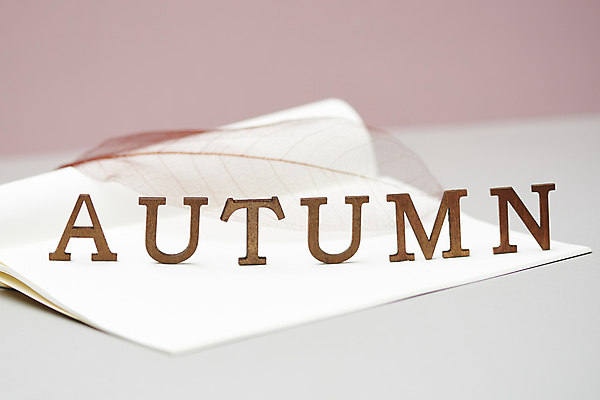 포토 JPG 스튜디오촬영 영어 낙엽 실내 사람없음 공책 가을 빈티지 분위기 오브젝트 감성 국내포토 문자 계절 컨셉 잎 문구용품 내부 파일형식