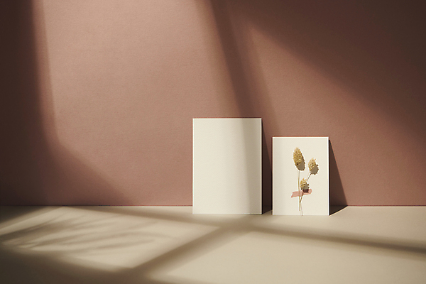 포토 JPG 스튜디오촬영 종이 실내 그림자 사람없음 가을 빈티지 분위기 오브젝트 엽서 감성 드라이플라워 국내포토 계절 꽃 컨셉 내부 편지 파일형식