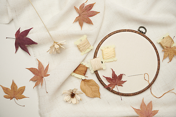 포토 JPG 스튜디오촬영 단풍 낙엽 실내 사람없음 하이앵글 가을 빈티지 분위기 천 오브젝트 흰배경 감성 실타래 십자수 드라이플라워 국내포토 계절 꽃 뷰포인트 백그라운드 컨셉 잎 내부 흰색 직물 파일형식