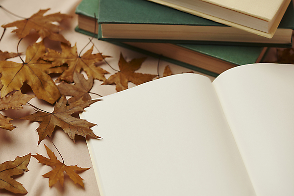 포토 JPG 스튜디오촬영 단풍 낙엽 실내 사람없음 책 독서 가을 빈티지 분위기 오브젝트 감성 베이지색배경 국내포토 계절 백그라운드 컨셉 잎 내부 베이지색 파일형식