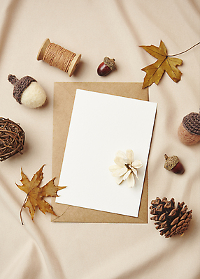 포토 JPG 스튜디오촬영 꽃 단풍 낙엽 편지봉투 실내 사람없음 하이앵글 가을 빈티지 분위기 실 천 편지지 오브젝트 도토리 솔방울 감성 실타래 베이지색배경 국내포토 식물 계절 뷰포인트 백그라운드 컨셉 잎 봉투 내부 견과류 직물 편지 베이지색 파일형식