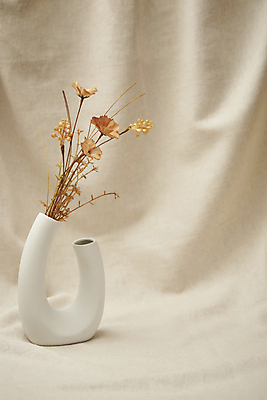 포토 JPG 스튜디오촬영 꽃 실내 사람없음 꽃병 가을 빈티지 분위기 천 오브젝트 감성 베이지색배경 국내포토 식물 계절 백그라운드 컨셉 내부 직물 베이지색 파일형식