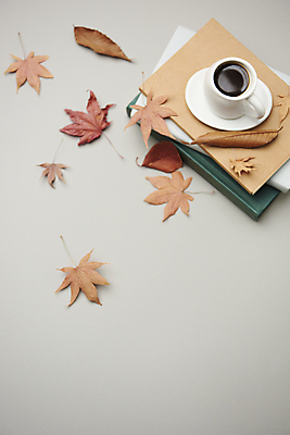 포토 JPG 스튜디오촬영 커피 단풍 낙엽 회색배경 실내 사람없음 책 가을 빈티지 분위기 오브젝트 감성 국내포토 계절 음료 백그라운드 컨셉 잎 내부 회색 파일형식