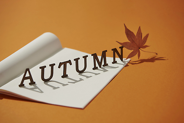 포토 JPG 스튜디오촬영 영어 단풍 낙엽 실내 그림자 사람없음 공책 가을 빈티지 분위기 오브젝트 감성 주황색배경 국내포토 문자 계절 백그라운드 컨셉 잎 문구용품 내부 주황색 파일형식