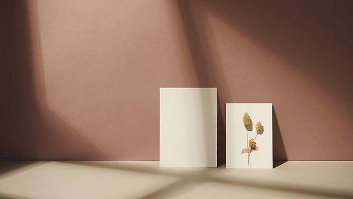포토 JPG 스튜디오촬영 실내 그림자 사람없음 가을 빈티지 분위기 오브젝트 엽서 감성 드라이플라워 국내포토 계절 꽃 컨셉 내부 편지 파일형식