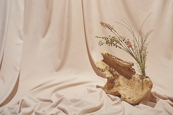 포토 JPG 스튜디오촬영 나무 꽃 실내 사람없음 가을 빈티지 분위기 천 오브젝트 감성 분홍색배경 국내포토 식물 계절 분홍색 백그라운드 컨셉 내부 직물 파일형식