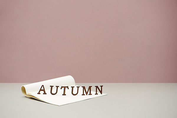 포토 JPG 스튜디오촬영 영어 실내 사람없음 공책 가을 빈티지 분위기 오브젝트 감성 분홍색배경 국내포토 문자 계절 분홍색 백그라운드 컨셉 문구용품 내부 파일형식