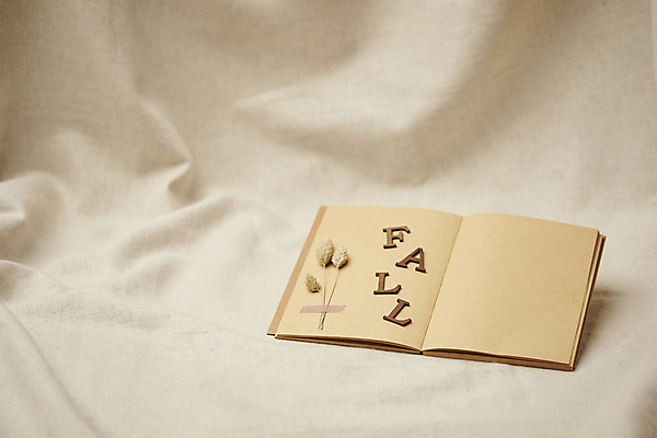 포토 JPG 스튜디오촬영 영어 실내 사람없음 공책 가을 빈티지 분위기 천 오브젝트 감성 드라이플라워 베이지색배경 국내포토 문자 계절 꽃 백그라운드 컨셉 문구용품 내부 직물 베이지색 파일형식