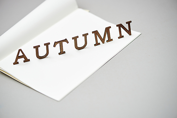 포토 JPG 스튜디오촬영 영어 회색배경 실내 사람없음 공책 가을 빈티지 분위기 오브젝트 감성 미니멀 국내포토 문자 계절 백그라운드 컨셉 문구용품 내부 회색 파일형식