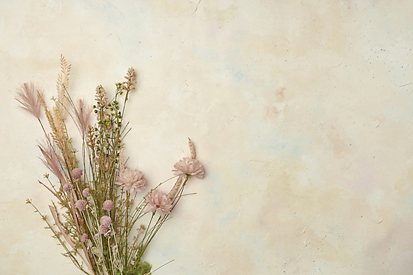 포토 JPG 스튜디오촬영 꽃 실내 사람없음 하이앵글 가을 빈티지 분위기 오브젝트 감성 베이지색배경 카피스페이스 국내포토 식물 계절 뷰포인트 백그라운드 컨셉 내부 공백 베이지색 파일형식