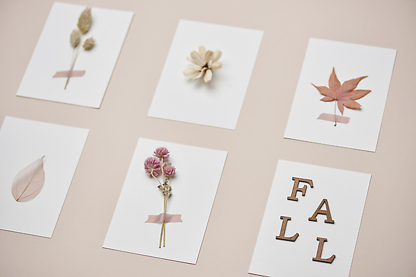 포토 JPG 스튜디오촬영 영어 종이 단풍 낙엽 실내 사람없음 가을 빈티지 분위기 오브젝트 감성 드라이플라워 붙이기 분홍색배경 국내포토 문자 계절 꽃 분홍색 백그라운드 컨셉 잎 모션 내부 파일형식