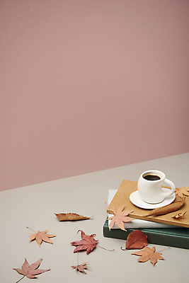 포토 JPG 스튜디오촬영 커피 단풍 낙엽 실내 사람없음 책 가을 빈티지 분위기 오브젝트 흰배경 감성 분홍색배경 국내포토 계절 음료 분홍색 백그라운드 컨셉 잎 내부 흰색 파일형식