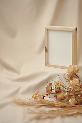 포토 JPG 스튜디오촬영 꽃 액자 실내 액자틀 사람없음 가을 빈티지 분위기 천 오브젝트 감성 베이지색배경 국내포토 식물 계절 백그라운드 컨셉 틀 내부 직물 베이지색 파일형식