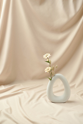 포토 JPG 스튜디오촬영 꽃 실내 사람없음 꽃병 가을 빈티지 분위기 천 오브젝트 감성 베이지색배경 국내포토 식물 계절 백그라운드 컨셉 내부 직물 베이지색 파일형식