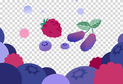 편집 편집이미지 과일 누끼 사람없음 보라색 블루베리 베리 PNG 복분자 오디 편집소스 열매 컬러 파일형식