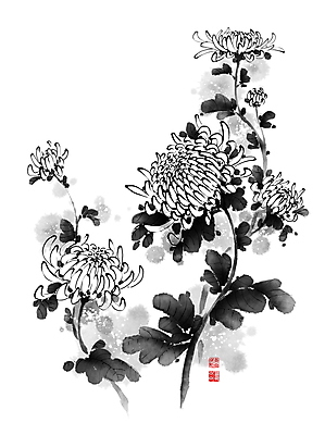 PSD 꽃 잎 일러스트 캘리그라피 붓터치 국화 사람없음 도장 동양화 번짐 낙관 국내일러스트 식물 미술 파일형식 효과