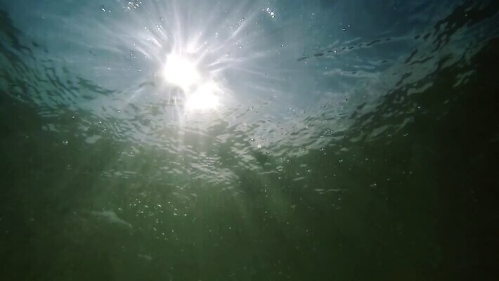 호수 파도 바다 여행 백그라운드 모션 표면 휴식 사람없음 물 여름 햇빛 태양 수중 어둠 고요 광선 아래 다이빙 장면 부드러움 느림 깊이 침몰 MP4 해외동영상 슬로모션 클립영상 자연요소 계절 컨셉 촬영기법 수영 감각 방향 위치 동영상 수중스포츠 파일형식
