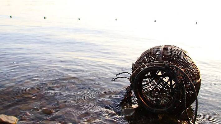 전통 아시아 자연 낚시 사람없음 야외 환경 동남아시아 일몰 공백 시골 생태학 인도차이나반도 카피스페이스 HD MP4 해외동영상 클립영상 교육 나라 레저 노을 생태계 동영상 파일형식