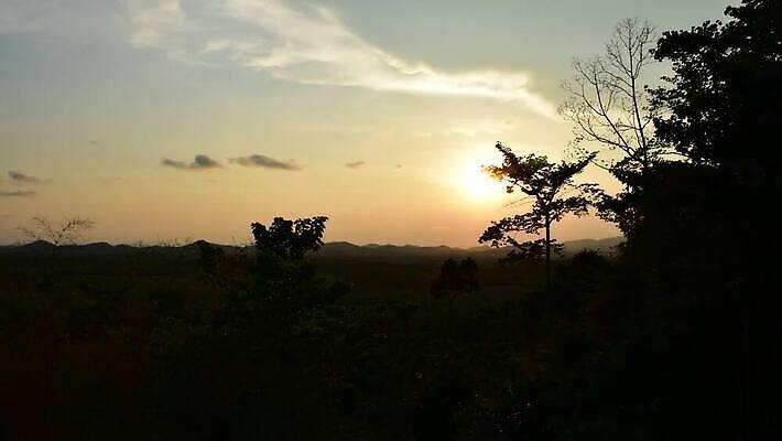 나무 실루엣 자연 하늘 사람없음 야외 태양 일몰 저녁 이스라엘 타임랩스 MOV 해외동영상 클립영상 자연요소 식물 촬영기법 노을 야간 생태계 동영상 서아시아 파일형식