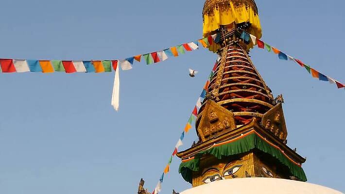 전통 아시아 종교 문화 여행 불교 건축양식 하늘 동양인 사람없음 파란색 조각상 여행객 평화 탑 맑음 축제 기도 깃발 사찰 영혼 역사 재산 황금 심볼 명상 비둘기 네팔 수도원 랜드마크 만다라 사리탑 신앙심 옛날 카트만두 히말라야 MOV 해외동영상 클립영상 건축물 건축 나라 컬러 컨셉 종교건축 조류 날씨 사람 인종 금융 조형물 동영상 파일형식 산맥