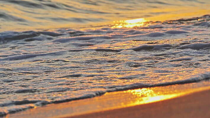 모래 파도 바다 자연 풍경 해변 사람없음 야외 태양 황금 4K MOV 해외동영상 클립영상 자연요소 생태계 동영상 파일형식