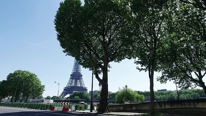 나무 유럽 사람없음 건물 탑 프랑스 도시 랜드마크 파리(프랑스) 4K MP4 해외동영상 클립영상 식물 건축물 나라 동영상 파일형식