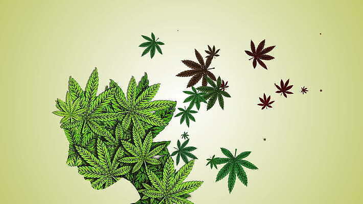 행복 잎 생각 농업 휴식 담배 건강 사람없음 약 기쁨 잡초 삼 고리 허브 중독 내추럴 가면무도회 대마초 마리화나 4K MOV 해외동영상 클립영상 식물 감정 산업 컨셉 채소 의학 동영상 마약 무도회 파일형식