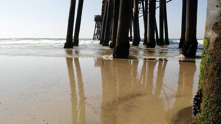 파도 바다 조류 휴가 사람없음 목재 물 항구 미국 산책로 기둥 물가 아래 캘리포니아 로스앤젤레스 옛날 4K 오션사이드 산타모니카 MP4 해외동영상 클립영상 자연요소 나무 동물 건축 길 북아메리카 재료 교통시설 풍경 방향 위치 동영상 파일형식