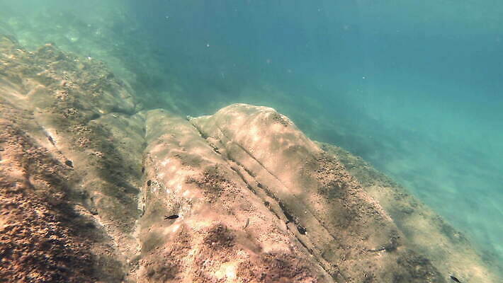 동물 야생동물 바다 컬러 여행 백그라운드 자연 멕시코 어류 사람없음 빨간색 물 여름 파란색 빛 햇빛 태양 뷰티 수중 수영 광선 동굴 산호 아래 사진사 생태계 다이빙 장면 암초 깊이 칸쿤 4K 수중영상 MOV 해외동영상 클립영상 자연요소 계절 북아메리카 수중동물 수상스포츠 자포동물 방향 작가 위치 동영상 수중스포츠 파일형식