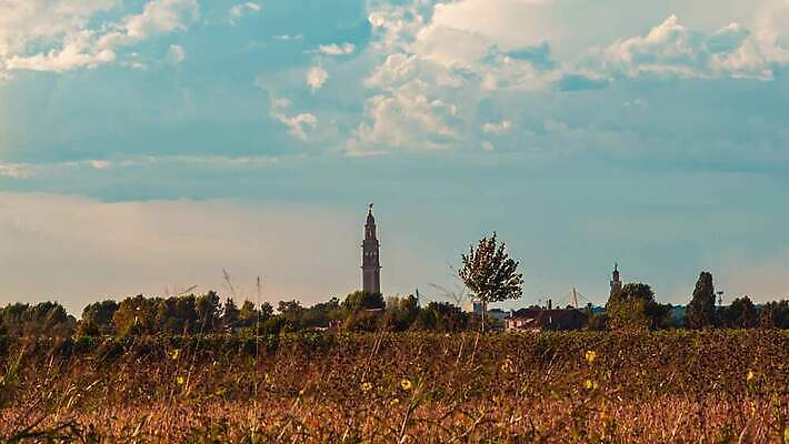 나무 식물 계절 공원 컬러 여행 백그라운드 잎 밭 농업 자연 하늘 풍경 초원 사람없음 야외 초록색 여름 파란색 빛 농작물 햇빛 태양 농장 농경지 노란색 환경 맑음 일몰 수확 가을 시골 황금 숲 땅 밀 장면 내추럴 밭일 4K MOV 해외동영상 클립영상 자연요소 공공시설 산업 날씨 곡류 노을 생태계 동영상 파일형식