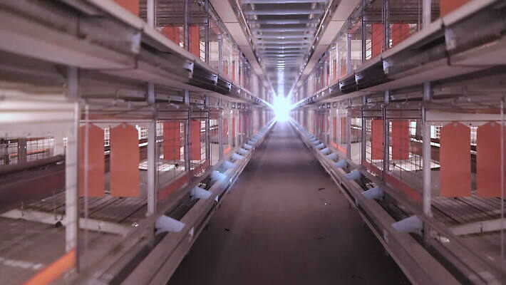 식물 산업 농업 비즈니스 공장 조류 실내 사람없음 내부 건물 농장 가축 시골 업무 실패 제조 주식 먹이 버리기 시설 외양간 파산 돌봄 밭일 위기 4K MOV 해외동영상 클립영상 동물 건축물 공업 모션 금융 작업 좌절 동영상 파일형식