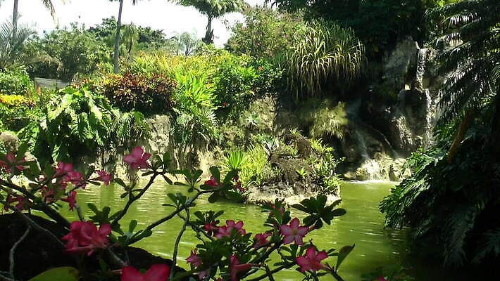 나무 식물 계절 공원 꽃 섬 여행 잎 자연 휴식 매달리기 사람없음 야외 장식 초록색 물 파란색 강 컬러풀 햇빛 농장 정원 계곡 폭포 프랑스 성장 신선 숲 열대우림 내추럴 프랑스어 자메이카 MOV 해외동영상 클립영상 자연요소 문자 공공시설 유럽 컬러 컨셉 북아메리카 농업 모션 태양 생태계 동영상 파일형식