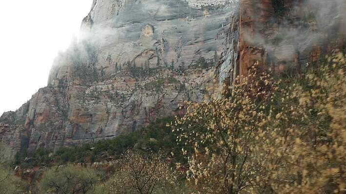여행 겨울 유리 사람없음 빨간색 갈색 골짜기 미국 운전 외계인 안개 황무지 분위기 인도인 돌산 환경보전 좁은 지역 사암 애리조나 감탄 벌거벗은 시온산 오리지널 웅장함 지질학 흉터 수평선 4K MP4 해외동영상 클립영상 외국인 계절 교육 컬러 컨셉 북아메리카 모션 자연 재질 날씨 산 동양인 미확인물체 돌_바위 상처 사회이슈 동영상 파일형식