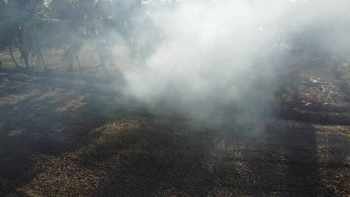 나무 식물 계절 아시아 백그라운드 자연 불 건조 동양인 풍경 사람없음 야외 농장 농경지 환경 맑음 수확 시골 오염 연기 쓰레기 농부 땅 밀짚 공터 말레이시아 논밭 생태학 이국적 재 재앙 화상 4K MP4 해외동영상 클립영상 자연요소 직업 교육 나라 밭 농업 날씨 논 인종 짚 상처 생태계 동영상 파일형식