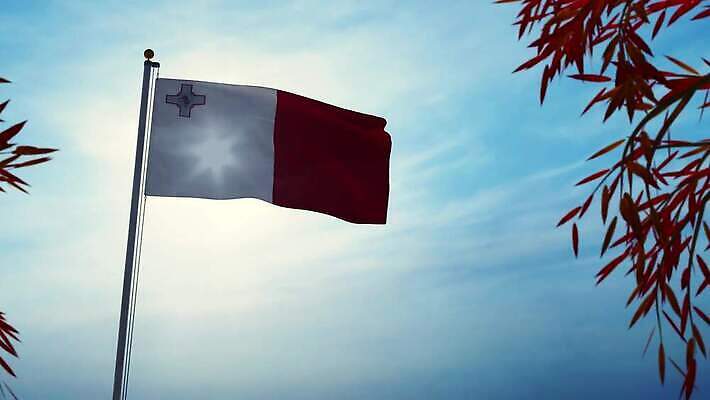 나무 배너 실루엣 물결 파도 섬 백그라운드 하늘 바람 사람없음 그래픽 햇빛 태양 흐름 자유 깃발 불기 군용 만들기 지역 깃대 봉 애니메이션 동영상 애국심 명예 몰타섬 전국 정부 통일 4K MOV 해외동영상 클립영상 자연요소 식물 바다 컨셉 모션 날씨 군대 촬영기법 몰타 파일형식