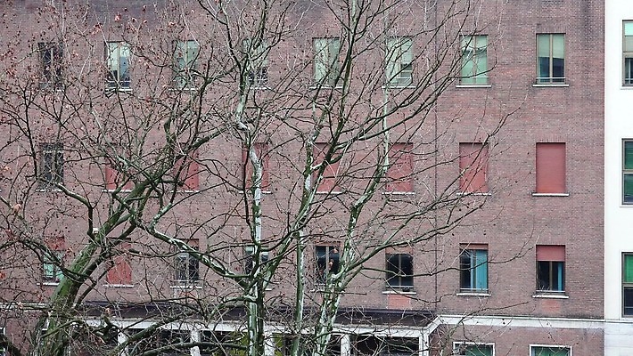 외관 건축양식 창문 호텔 벽돌 영국 잉글랜드 아파트 돌담 사람없음 야외 건물 사무실 이탈리아 도시 런던 뉴욕 러시아 콘도 맨해튼 랜드마크 석공 4K 설정숏 MP4 해외동영상 클립영상 건축물 건축 유럽 비즈니스 숙소 주택 촬영기법 담장 미국 돌_바위 동영상 파일형식